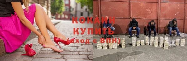 ALPHA PVP Ельня