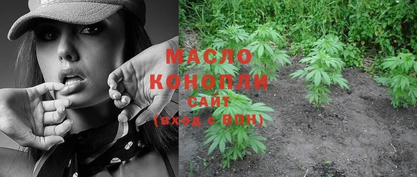 тгк Елабуга