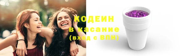метадон Елизово