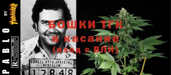тгк Елабуга