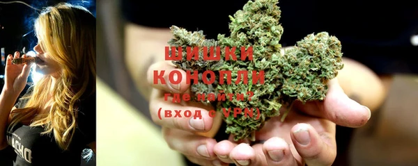 метадон Елизово