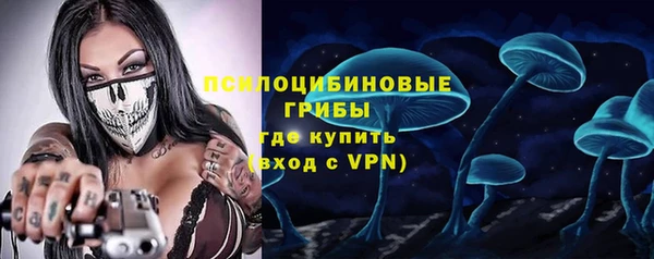 тгк Елабуга