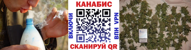 Шишки марихуана планчик  Купить  Карачаевск 